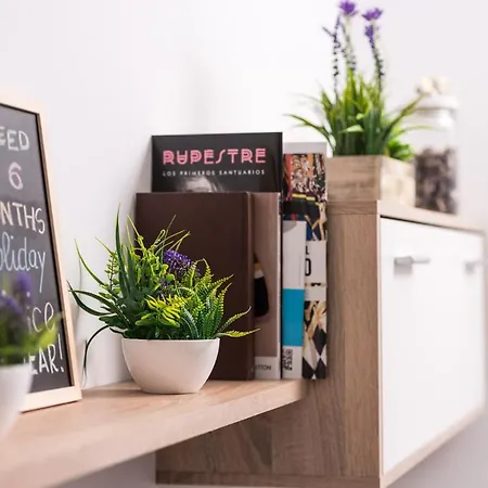 Apartament Cozy 3 Bed In The Heart Of *